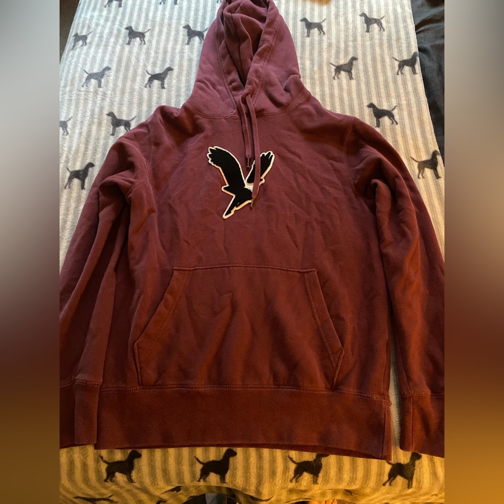 Men’s American Eagle Hoodie